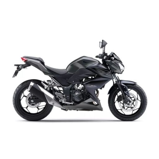 Z300