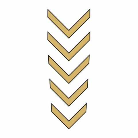 CG GOLD ÇAMURLUK ÜST STİCKER
